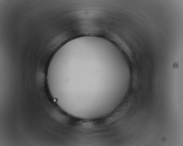 X0000102530113200808081501