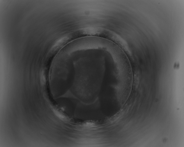 X0000102530114200808081501