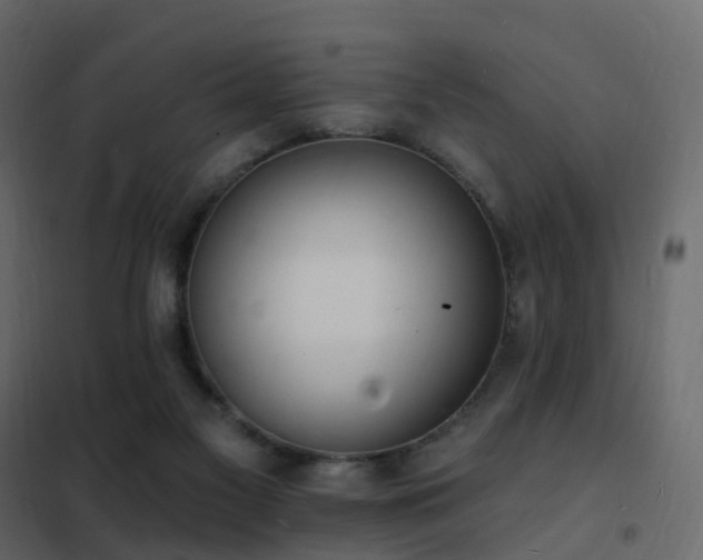 X0000102530117200808081501