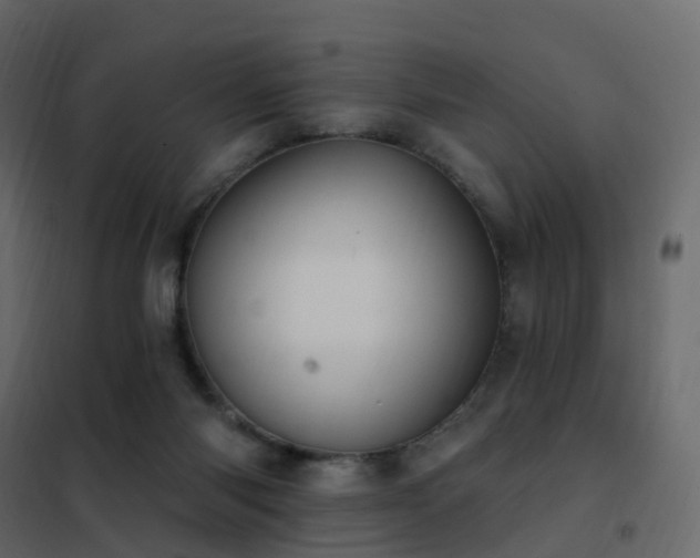 X0000102530118200808081501