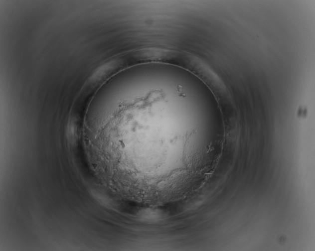 X0000102530119200808081501