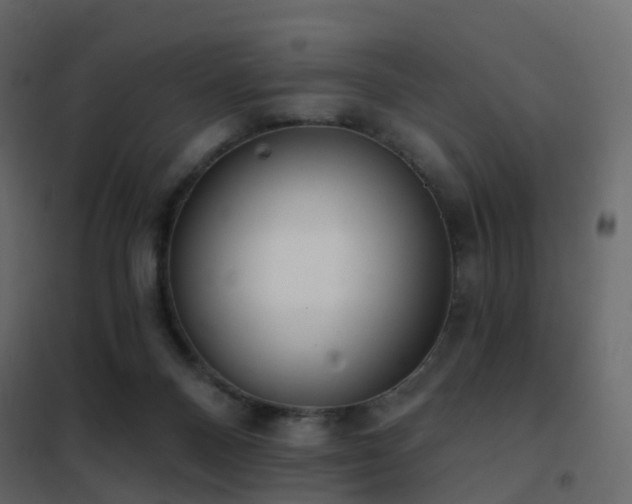 X0000102530120200808081501