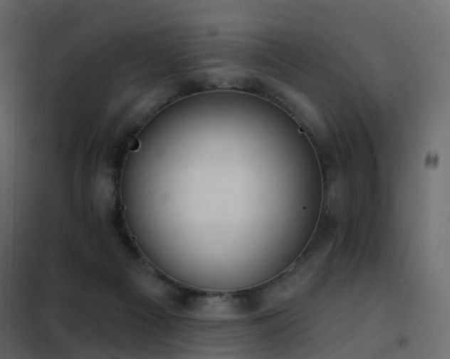 X0000102530121200808081501