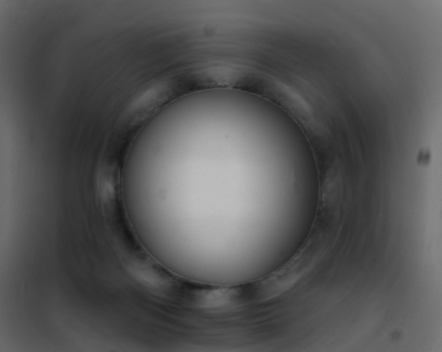 X0000102530122200808081501