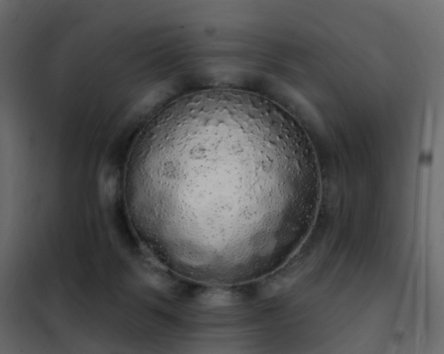 X0000102530123200808081501