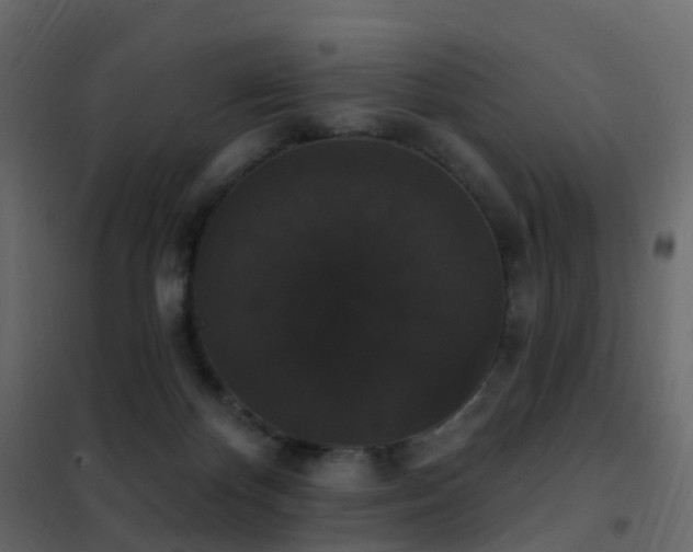 X0000102530124200808081501