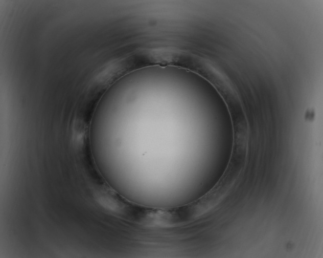 X0000102530125200808081501