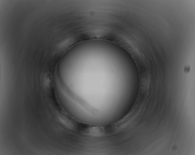 X0000102530126200808081501