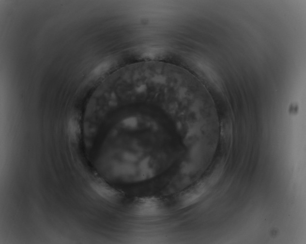 X0000102530127200808081501