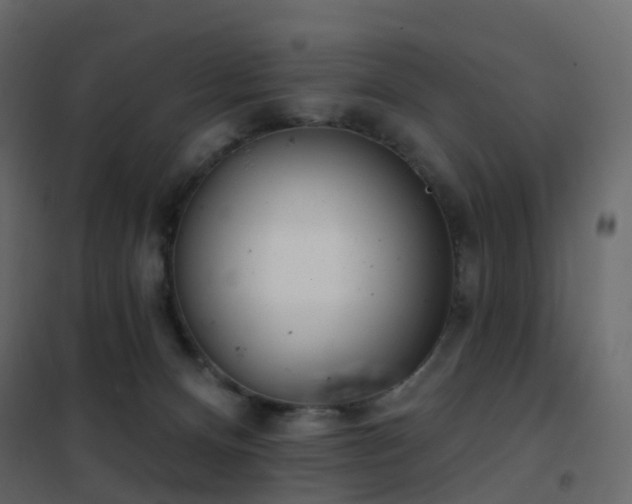 X0000102530128200808081501