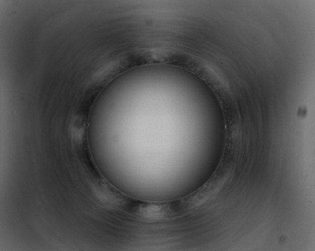 X0000102530129200808081501