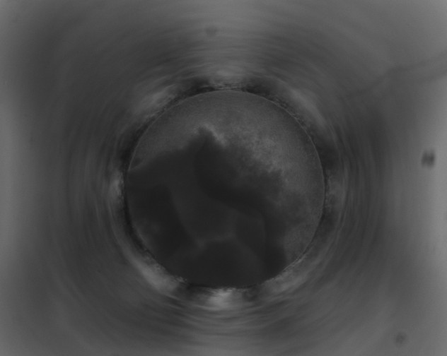 X0000102530130200808081501