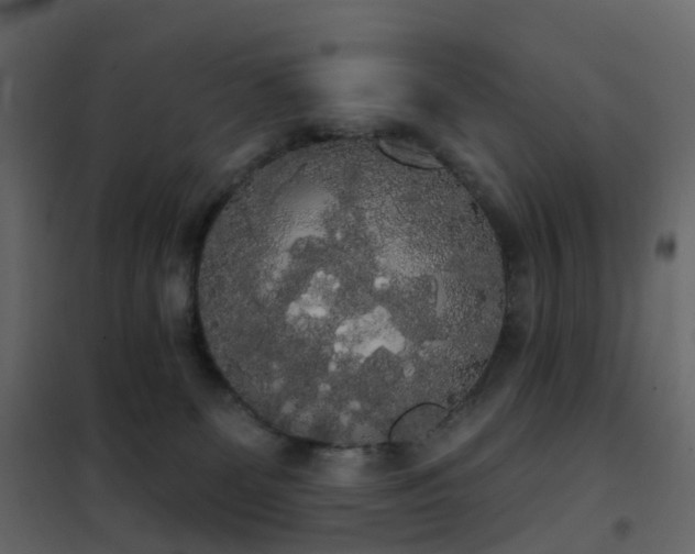 X0000102530131200808081501