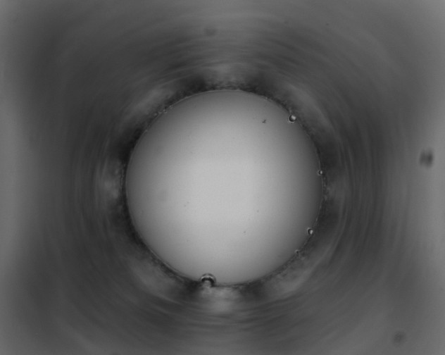 X0000102530133200808081501