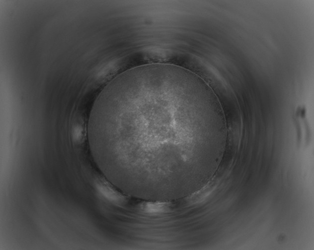 X0000102530134200808081501