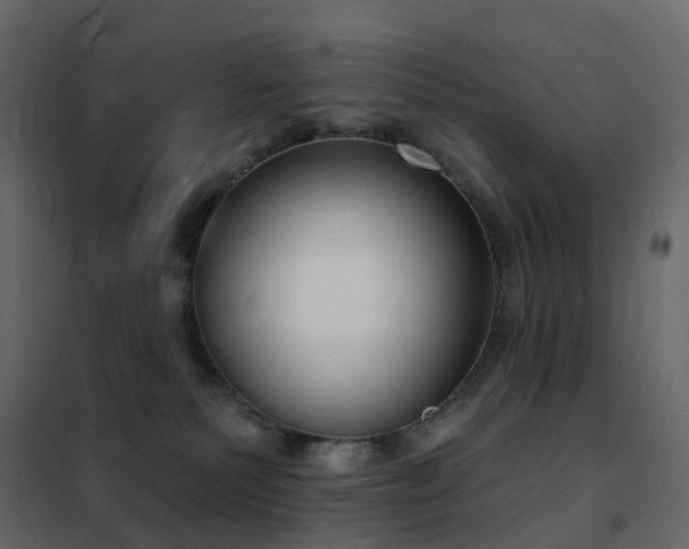 X0000102530135200808081500