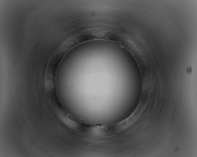 X0000102530136200808081500