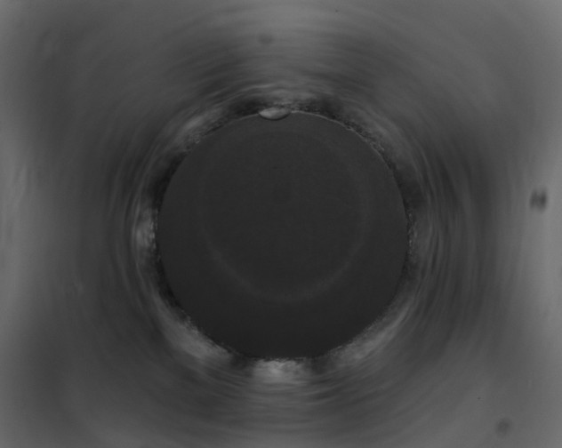 X0000102530137200808081500