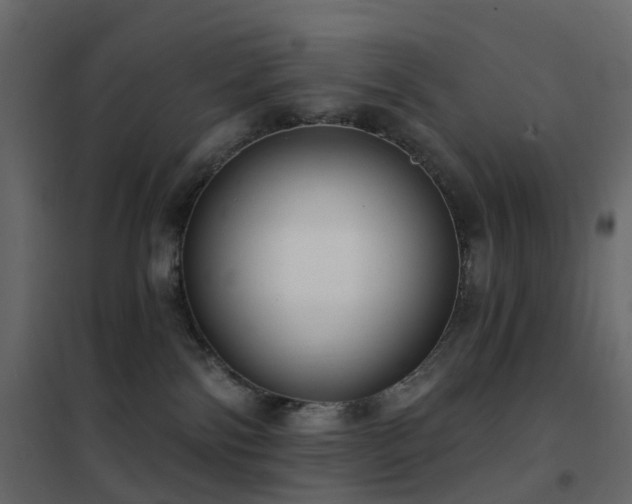 X0000102530138200808081500