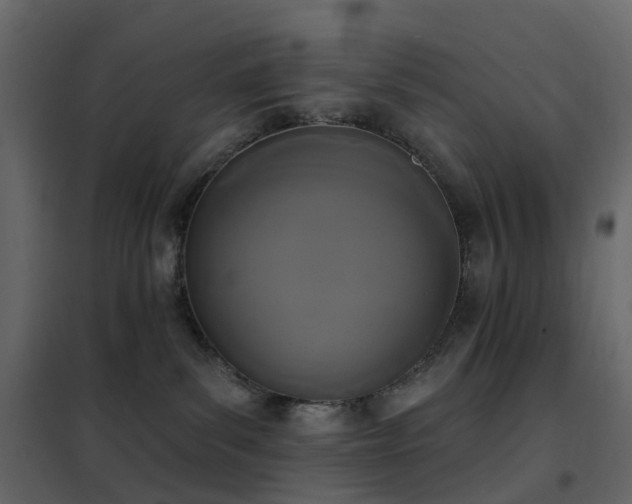 X0000102530139200808081500