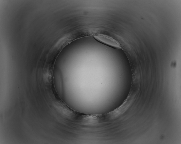 X0000102530140200808081500