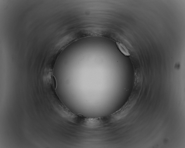 X0000102530141200808081500