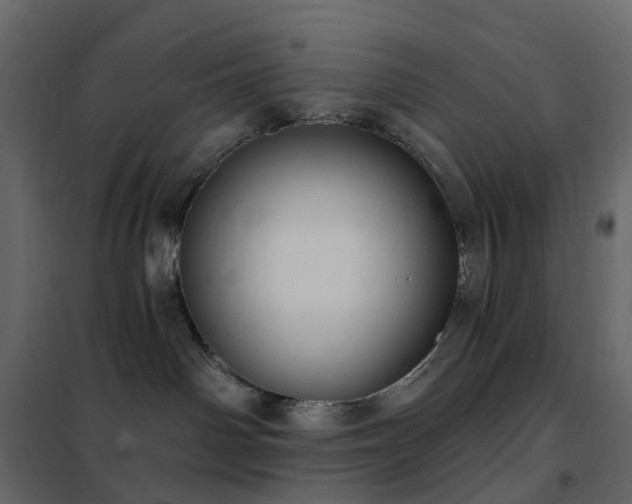 X0000102530142200808081500