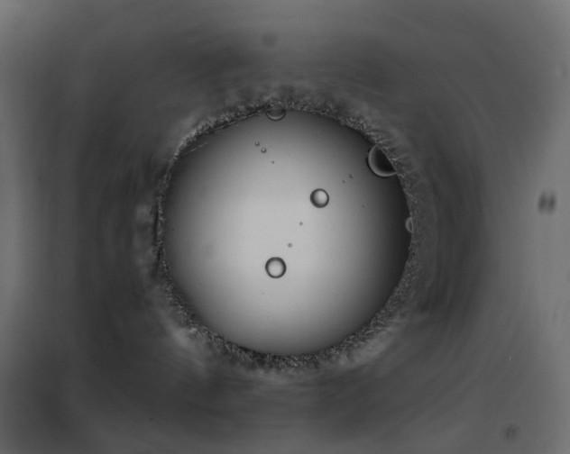 X0000102530144200808081500