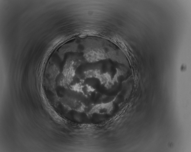 X0000102530145200808081500