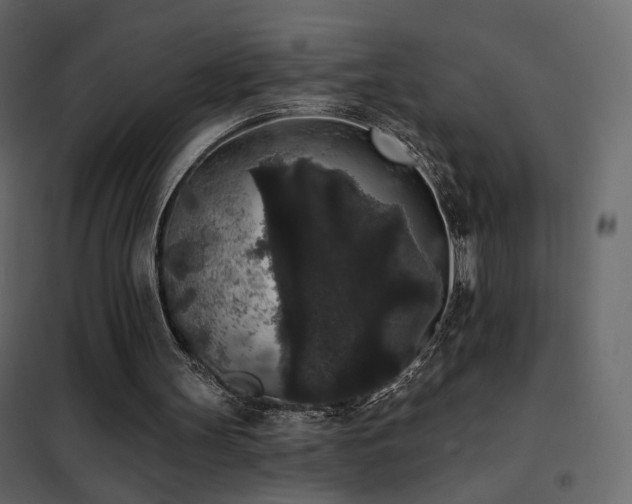 X0000102530147200808081500