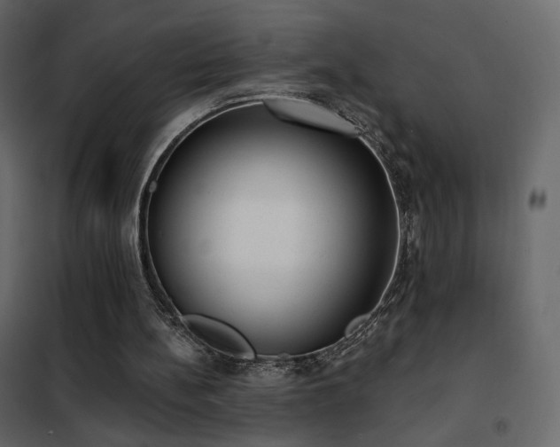 X0000102530148200808081500