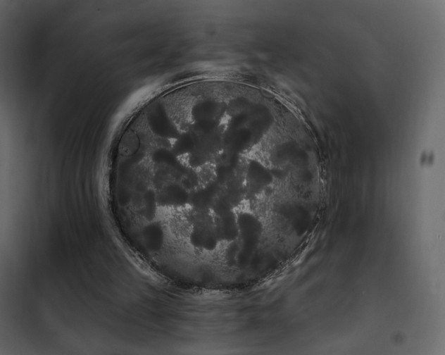 X0000102530149200808081500