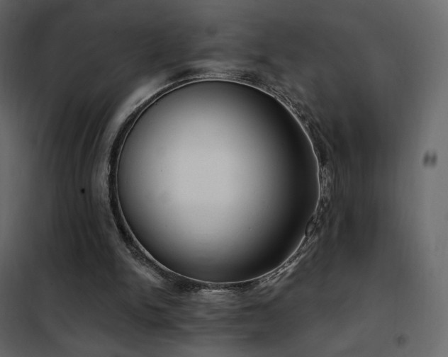 X0000102530150200808081500