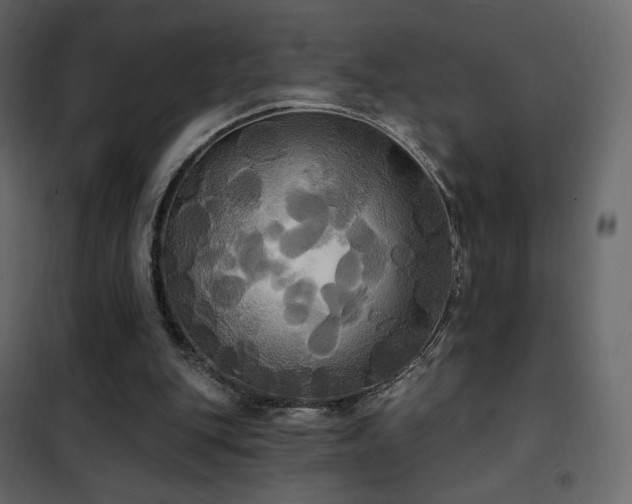 X0000102530151200808081500