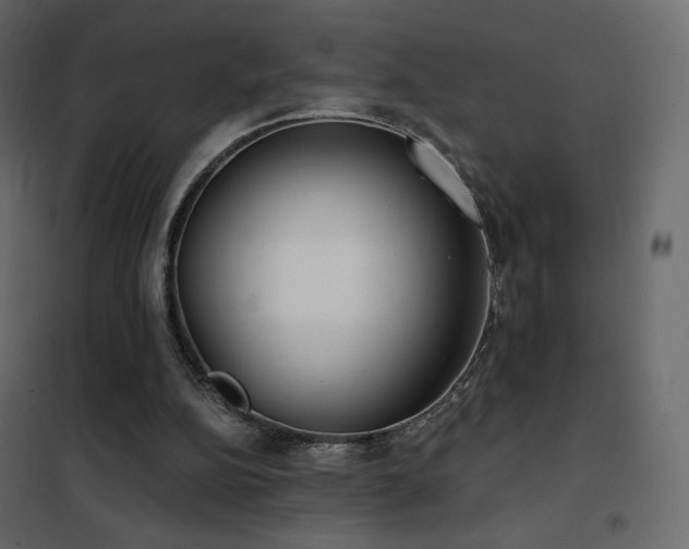 X0000102530152200808081500