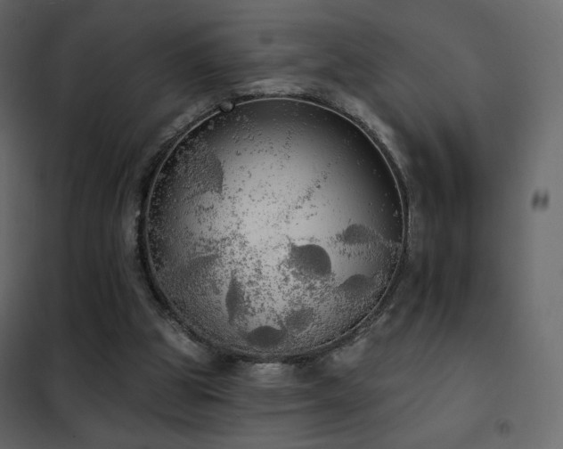 X0000102530153200808081500