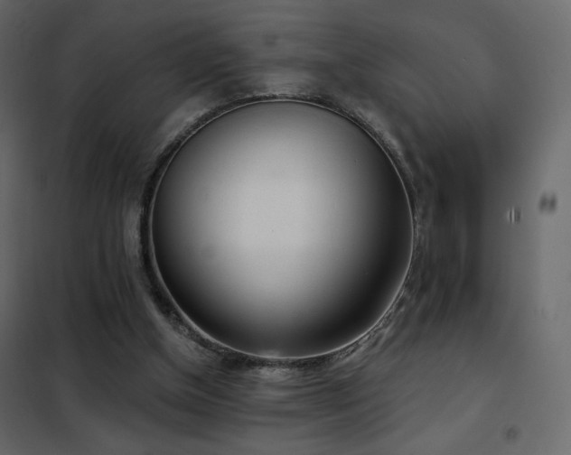 X0000102530154200808081500