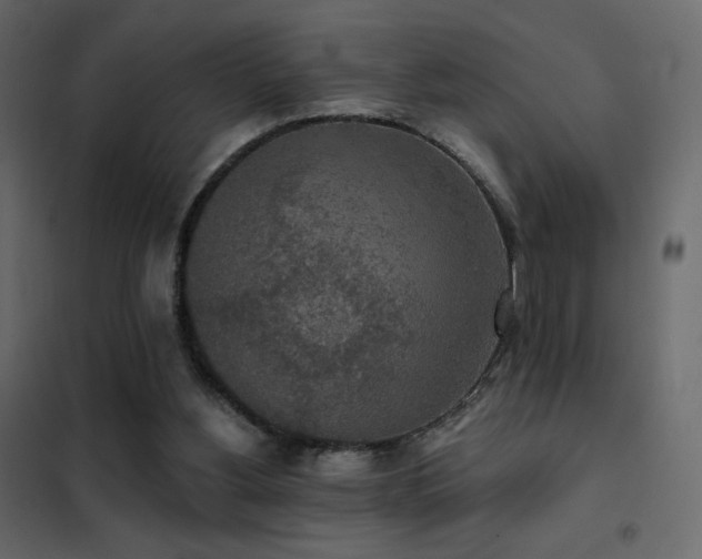 X0000102530156200808081500