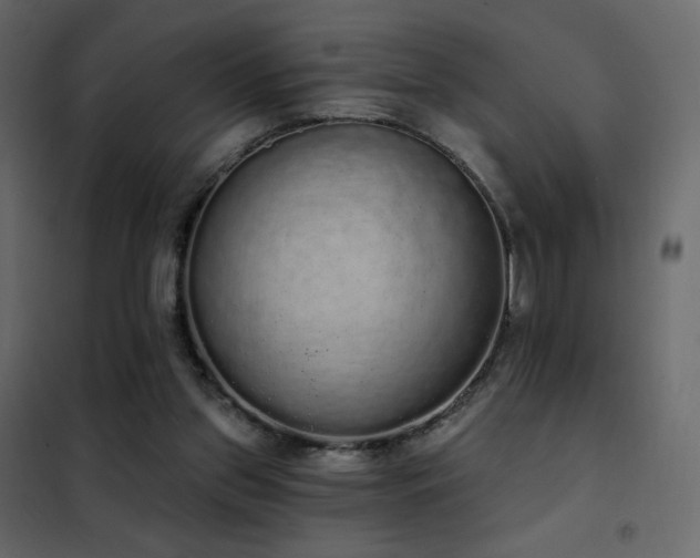 X0000102530157200808081500