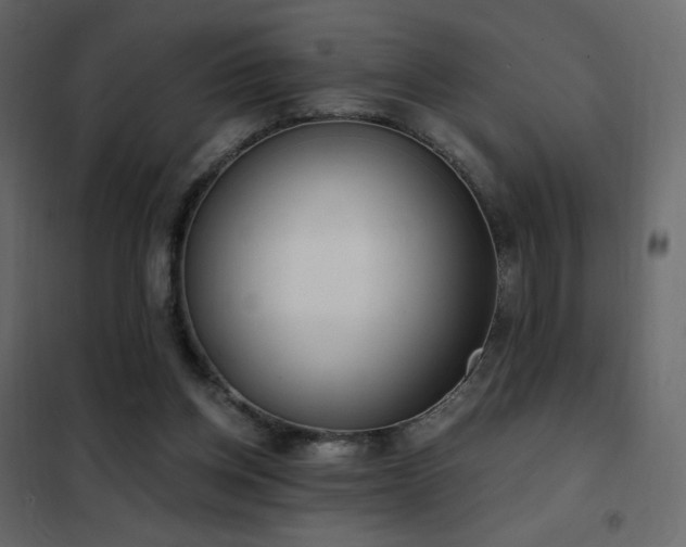 X0000102530158200808081500