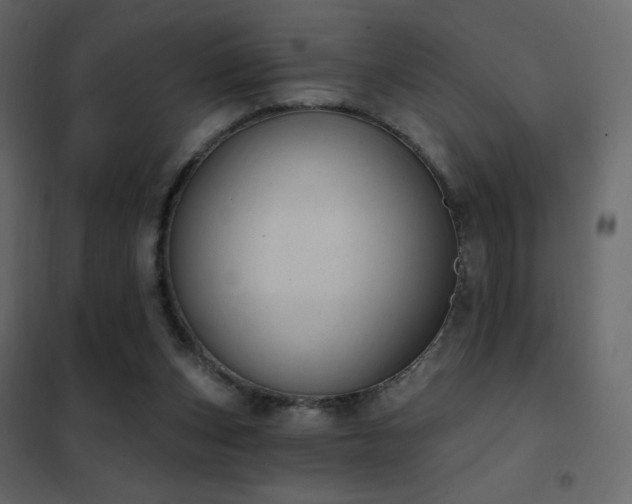 X0000102530159200808081500