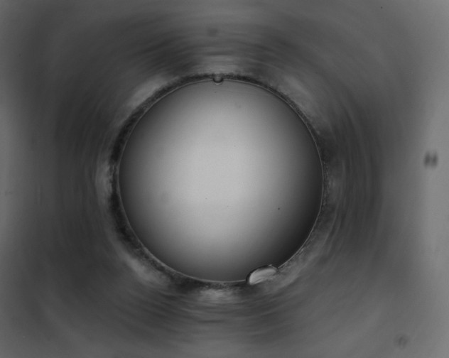 X0000102530160200808081500