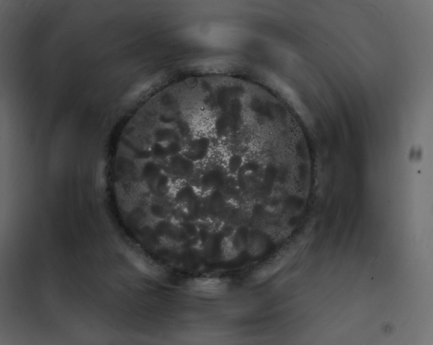 X0000102530161200808081500