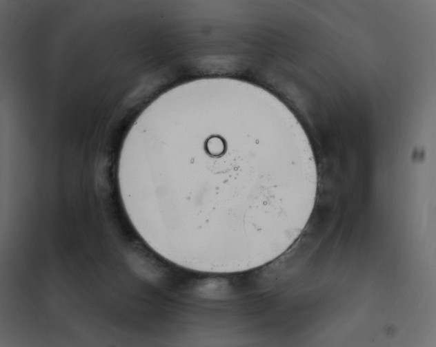 X0000102530162200808081500