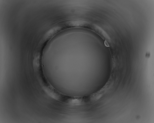 X0000102530163200808081500