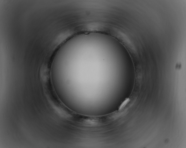 X0000102530164200808081500