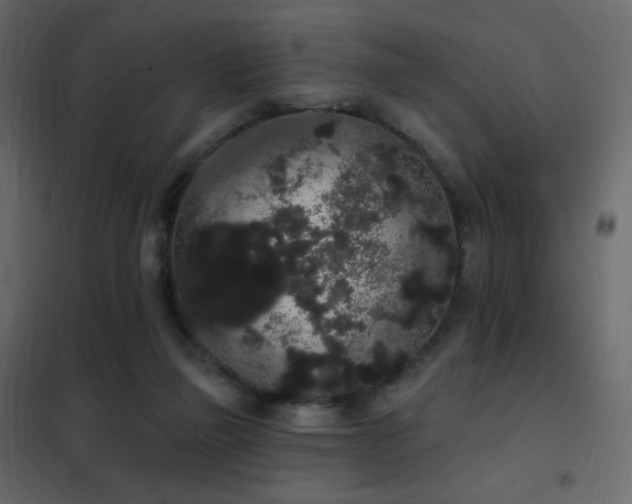 X0000102530165200808081500