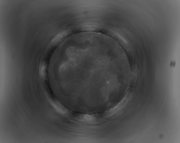 X0000102530166200808081500