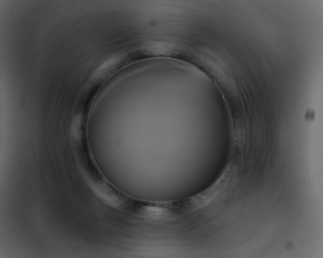 X0000102530167200808081500