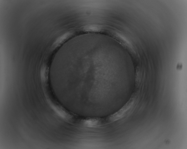 X0000102530168200808081500